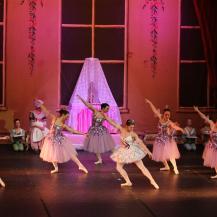 2018 The Sleeping Beauty 005
