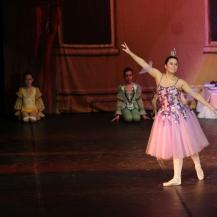 2018 The Sleeping Beauty 013