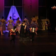 2018 The Sleeping Beauty 023