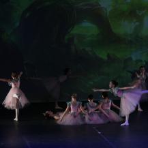 2018 The Sleeping Beauty 058