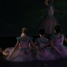 2018 The Sleeping Beauty 059