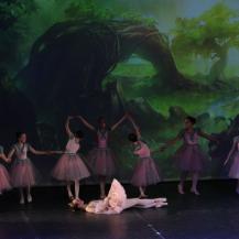 2018 The Sleeping Beauty 060