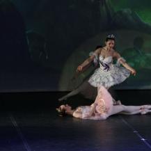 2018 The Sleeping Beauty 063