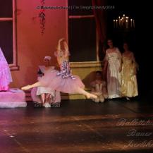 2018 The Sleeping Beauty 010