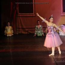 2018 The Sleeping Beauty 013