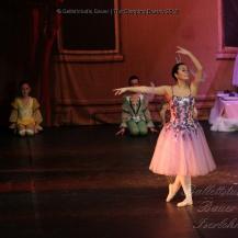 2018 The Sleeping Beauty 014