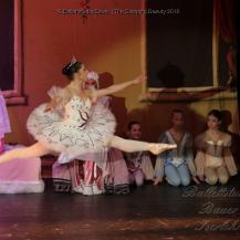 2018 The Sleeping Beauty 016