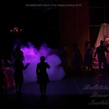 2018 The Sleeping Beauty 018