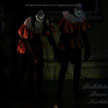 2018 The Sleeping Beauty 021