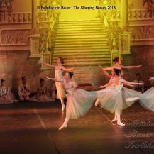 2018 The Sleeping Beauty 034