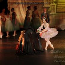 2018 The Sleeping Beauty 035