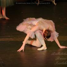 2018 The Sleeping Beauty 037