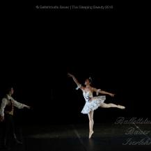 2018 The Sleeping Beauty 057