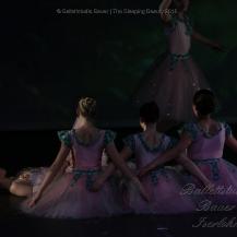 2018 The Sleeping Beauty 059
