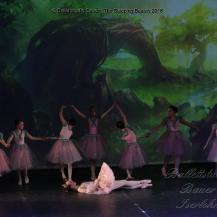 2018 The Sleeping Beauty 060