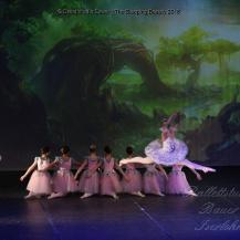 2018 The Sleeping Beauty 062