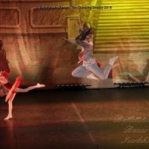 2018 The Sleeping Beauty 082