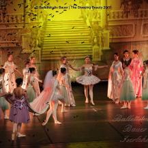 2018 The Sleeping Beauty 099