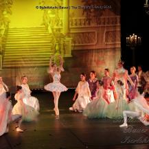 2018 The Sleeping Beauty 101