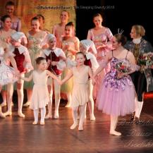 2018 The Sleeping Beauty 108